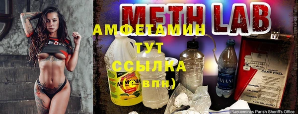 гидра Алексеевка
