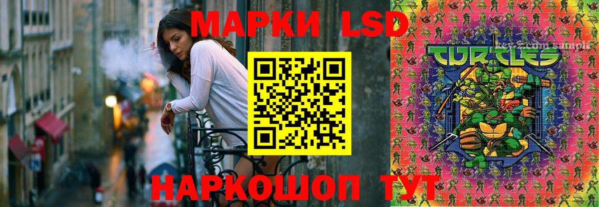 Галлюциногенные грибы Сыктывкар