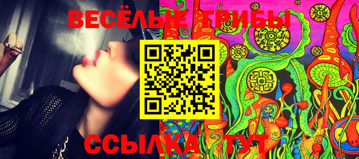 Псилоцибиновые грибы MAGIC MUSHROOMS Сыктывкар